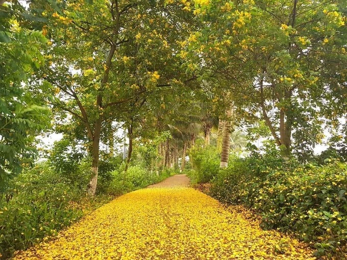 Nhắm đến đối tượng khách hàng mong muốn sở hữu không gian sống xanh, hài hòa với thiên nhiên, khu đô thị dành nhiều không gian cho các thảm thực vật, lên đến 100ha và chi hàng hàng tỷ đồng mỗi năm cho công tác vun trồng, chăm sóc. Bên cạnh các chủng cây có tán lá rộng tạo bóng mát, chủ đầu tư chọn lọc những loại hoa để tạo cảnh sắc đa dạng cho các lối đi quanh các công trình, dọc theo bờ sông cảnh quan.