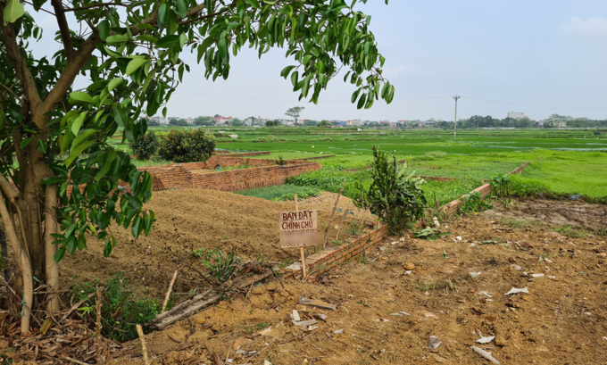 Một lô đất nền ở xã Đồng Trúc, huyện Thạch Thất (Hà Nội) được rao bán vào cuối tháng 3/2020. Ảnh: Hoàng Thắng. 