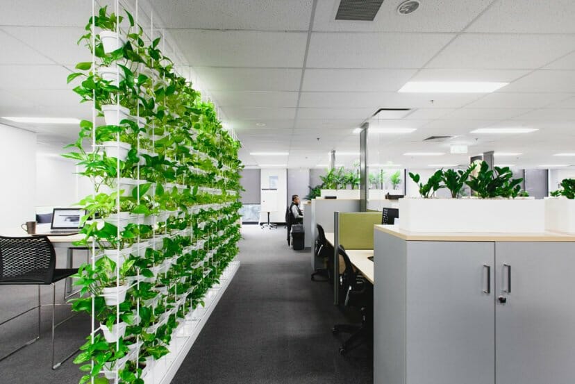 Treo tranh và tạo mảng xanh trong văn phòng