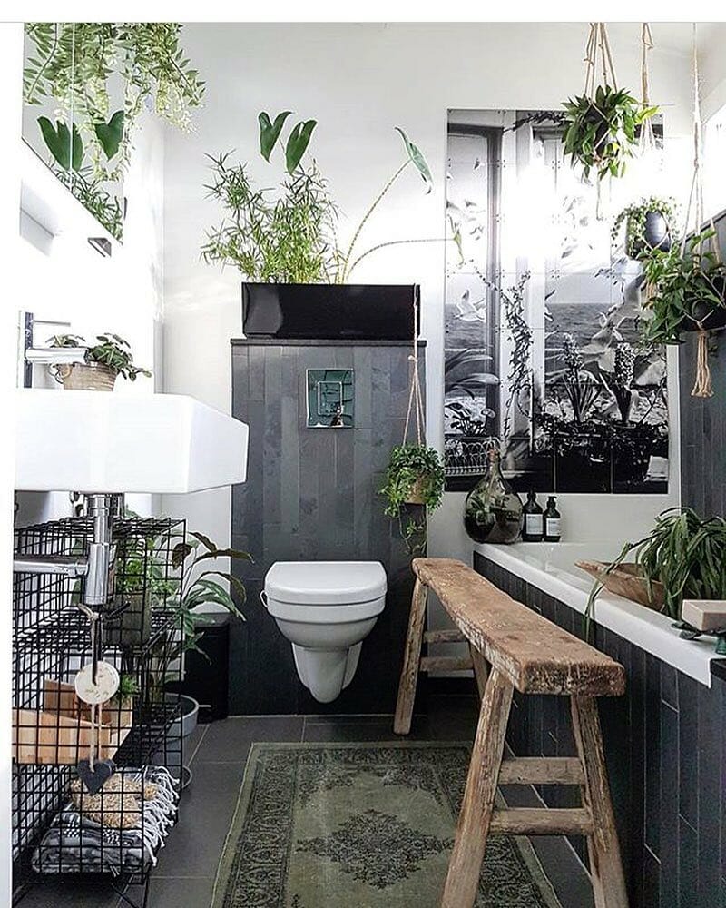 Hình ảnh phòng tắm ấn tượng với cây xanh trang trí, ghế gỗ dài, bồn cầu nổi, giỏ kim loại