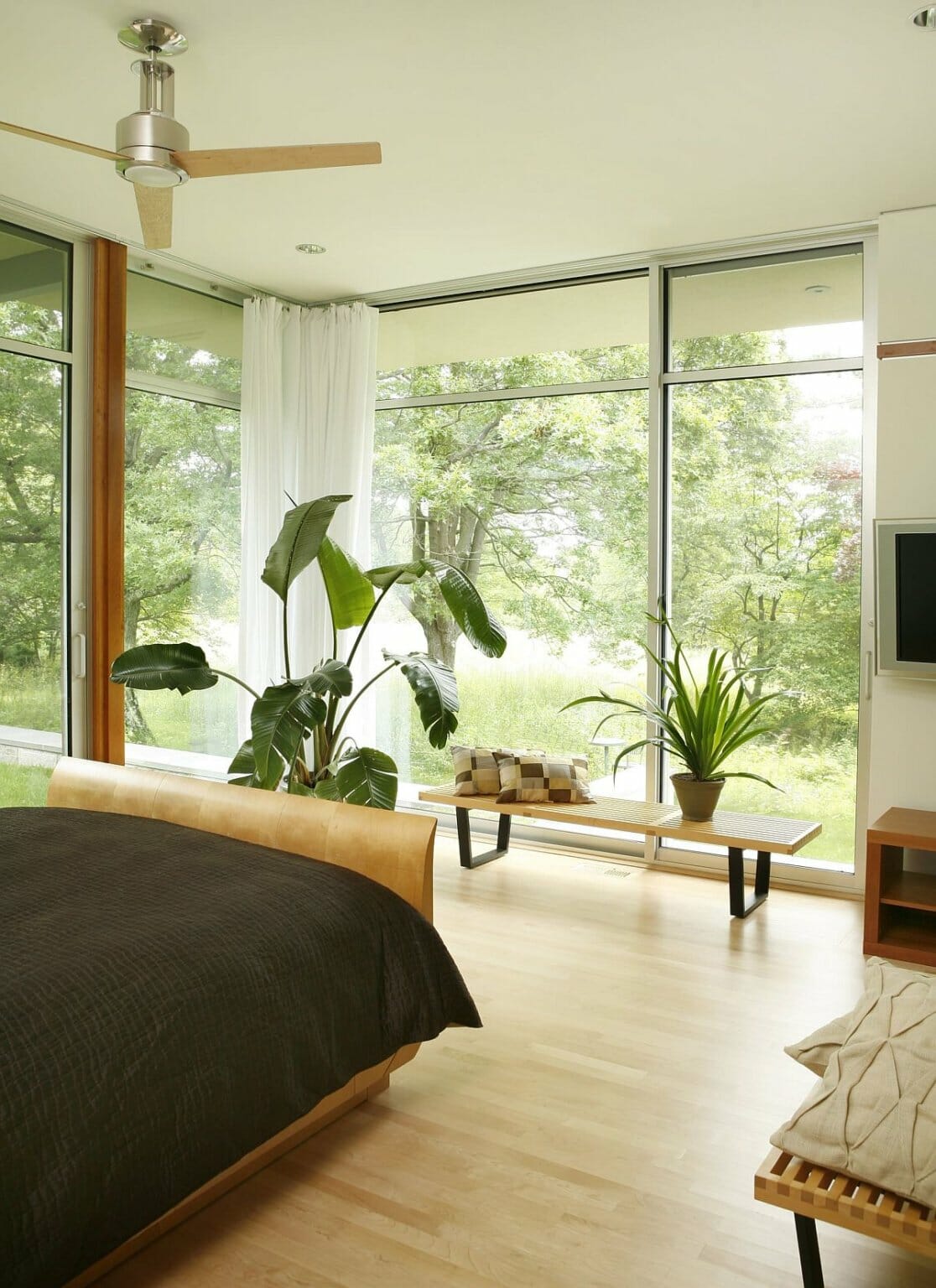 Hình ảnh phòng ngủ với giường nệm êm ái, quạt trần, cây xanh trang trí, tường kính trong suốt