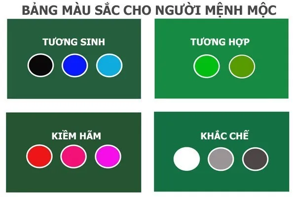 Minh họa cây Trúc Quan Âm phù hợp với người mệnh Mộc, mang lại may mắn và tài lộc theo phong thủy.