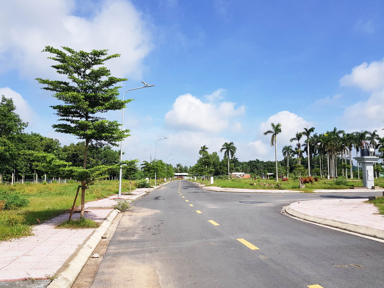 Giá đất nền Hóc Môn Củ Chi hiện tại - Hinh 1